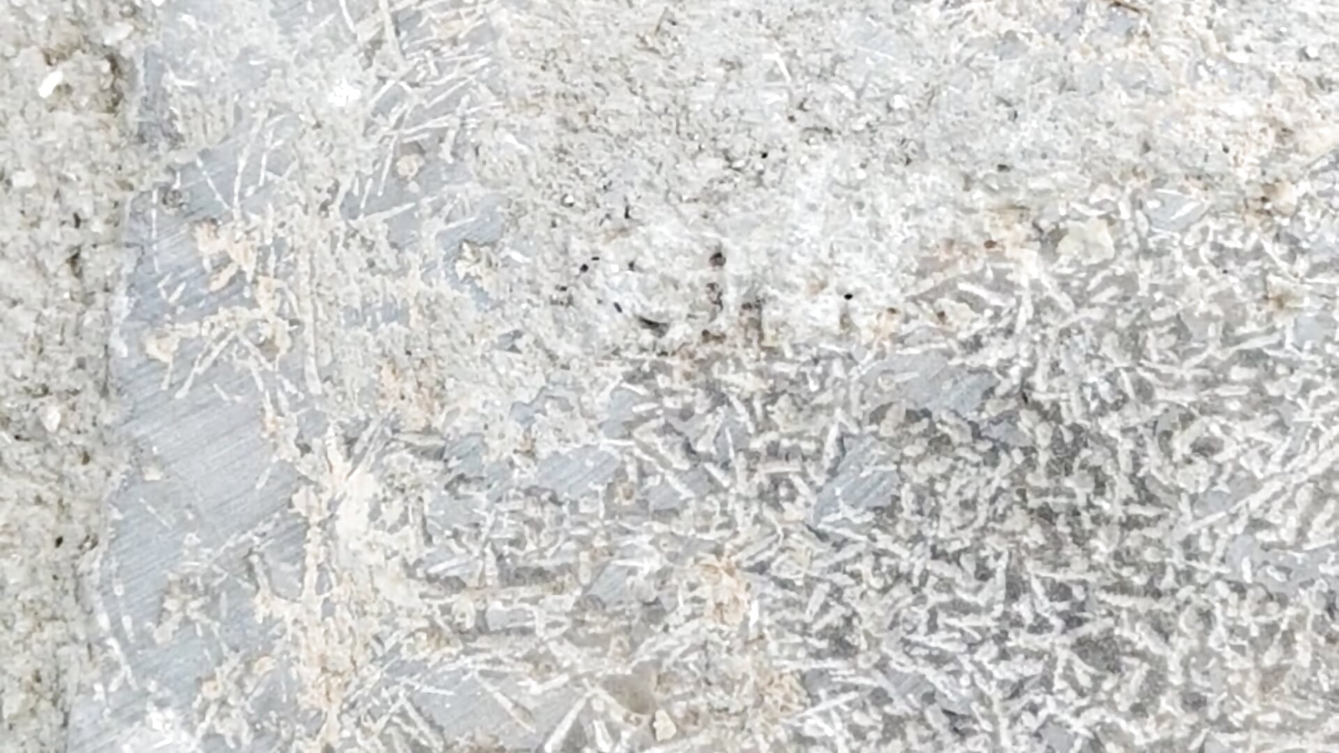 Qui sont les fidèles de -_MiaQueen_- ?