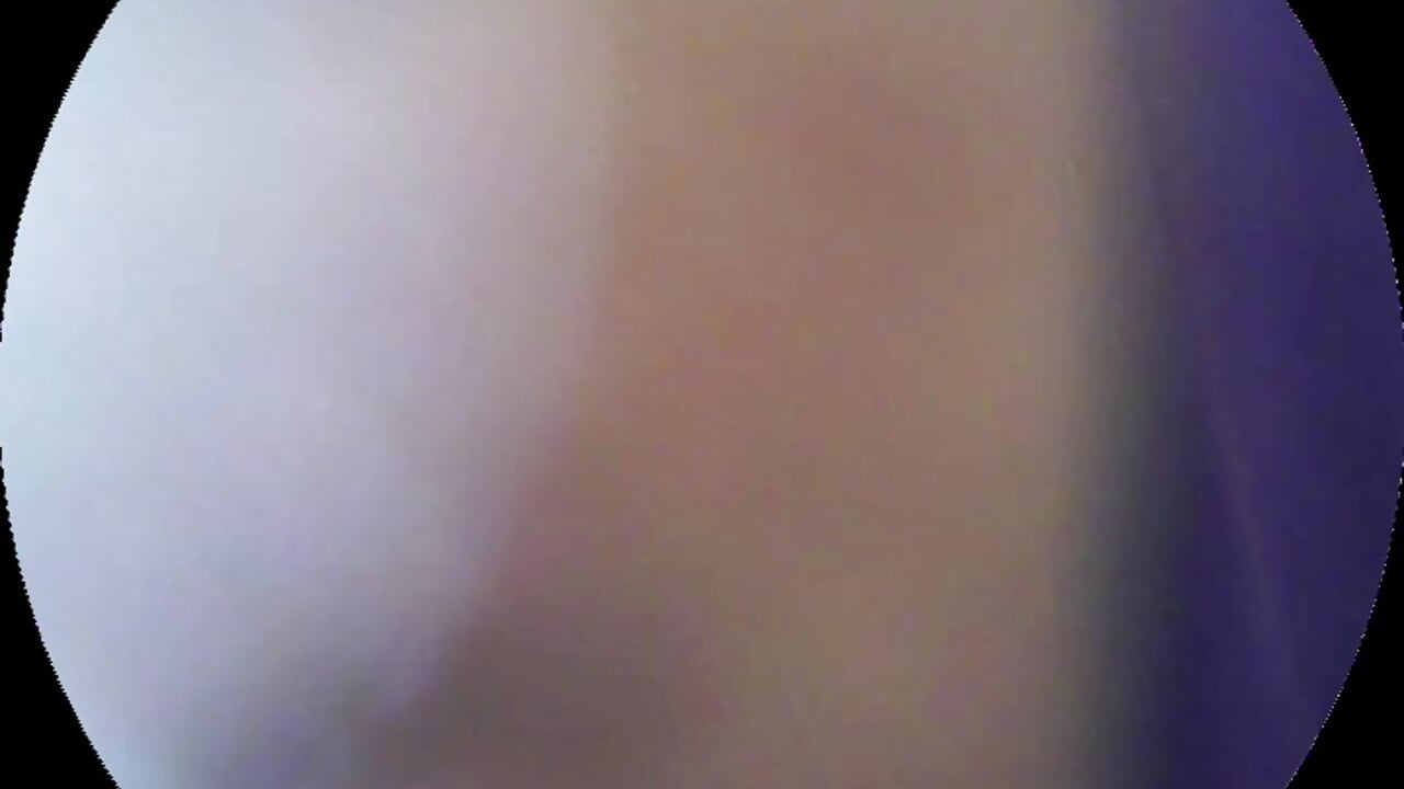 nidekikibabe-2026的社交媒体世界