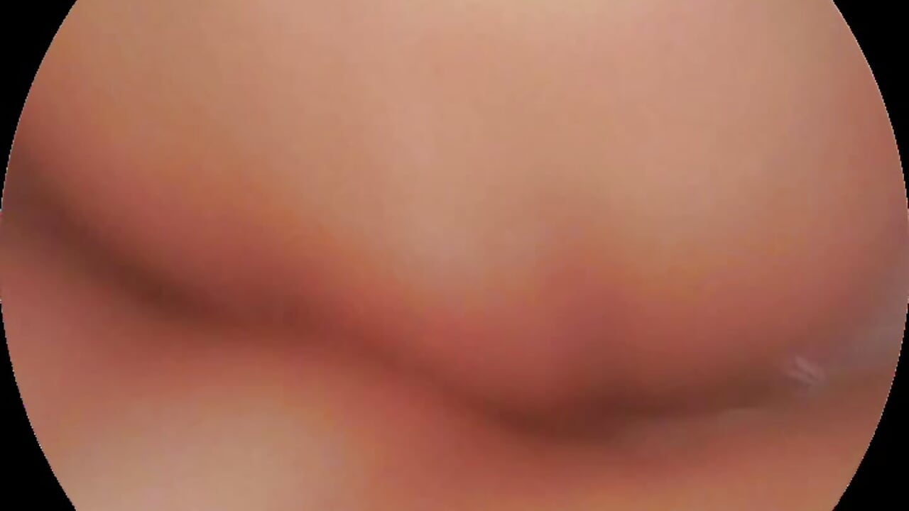 nidekikibabe-2026의 새로운 지평