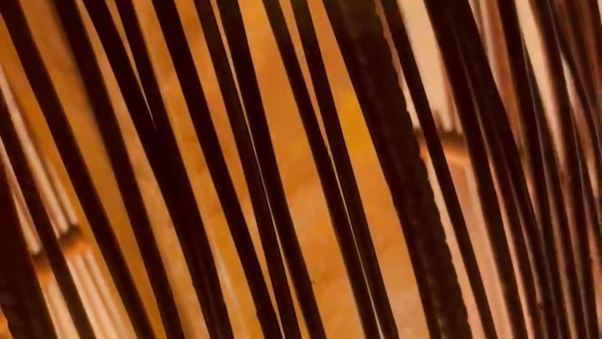 momo_love_の新作に何が待っているのか？