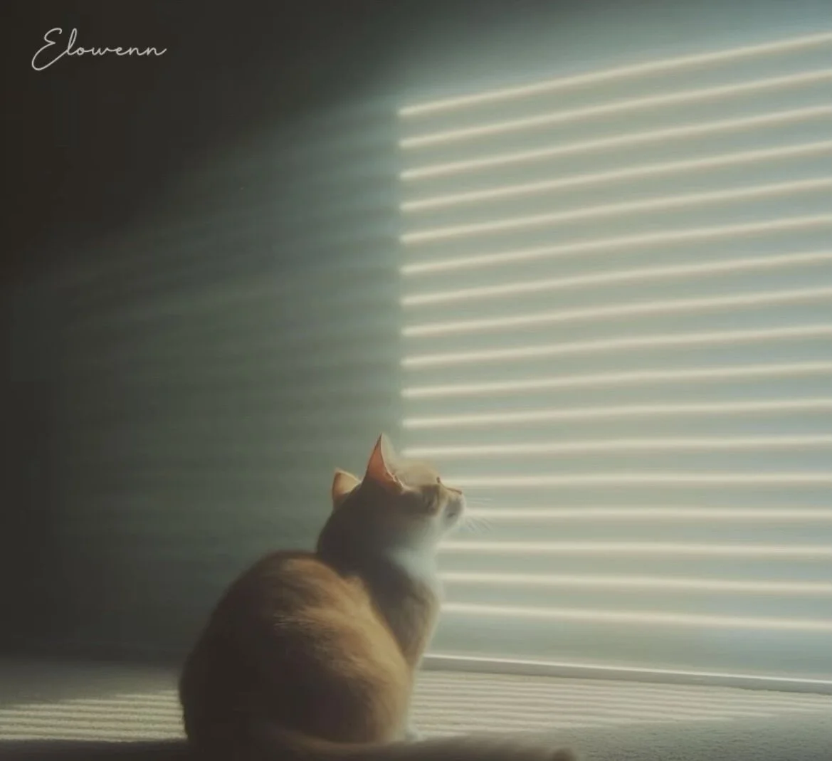 为什么要关注--102KymMiiss--？